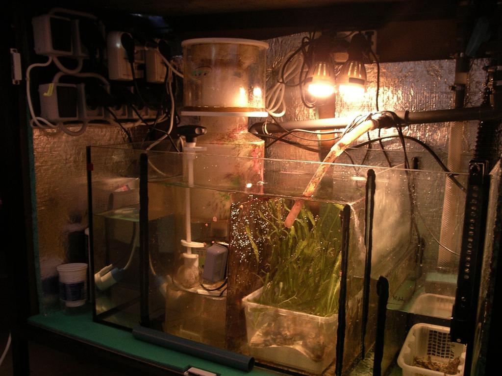 Sump 60L.JPG